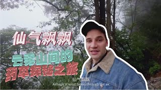 雾中山谷的药草探秘之旅：“老虎”带你探秘中华药库 | 重庆耍起撒·南川篇