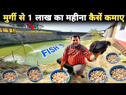 इंजीनियर साहब ने नौकरी छोड़ मुर्गी पालन तथा मछली पालन शुरू किया | Fish farming | Poultry farming