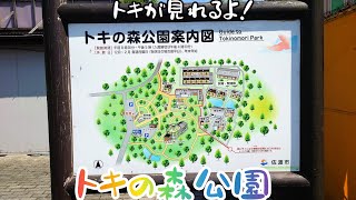 2022年5月 佐渡の『トキの森公園』へ行ってみた。