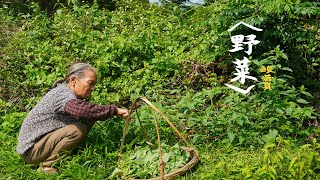 農村常見的3種野菜，有人嫌棄，有人愛，你吃過嗎 | Chinese food made with wild vegetables 广西 美食 | 玉林阿婆