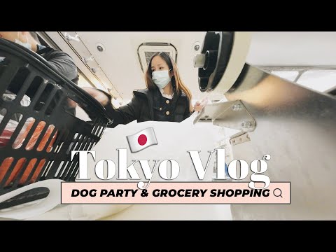 Grocery Shopping in Tokyo & making new friends in Japan | Living in Japan 🇯🇵