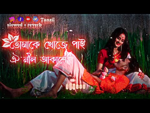 Tomake Khuje Pai Oi Nil Akashe || তোমাকে খুঁজে পাই ঐ নীল আকাশে || Slowed & Reverb ||  Bangla Song