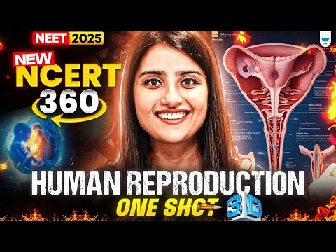 NEET 2025 Biology: Human Reproduction | One Shot 3D | NCERT 360° Word-by-Word | Seep Pahuja