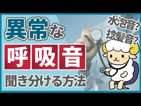 【9割の人が知らない】水疱音と捻髪音の聞き分け方