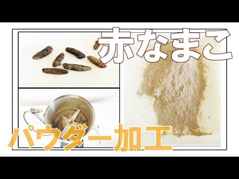 【赤なまこ】なまこをパウダー加工（ハイスピードミル）