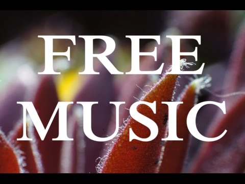 Ether - Silent Partner [AMBIENT] free music & no copyright