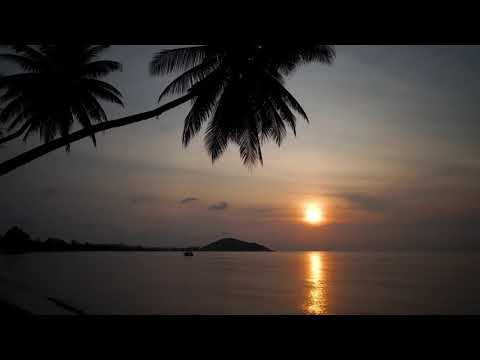 Tropical Sunset | Copyright Free Video Footage