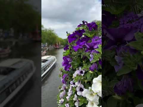 I'm on the canals of Amsterdam. 私は今アムステルダムの運河にいる。 我现在在阿姆斯特丹的运河。