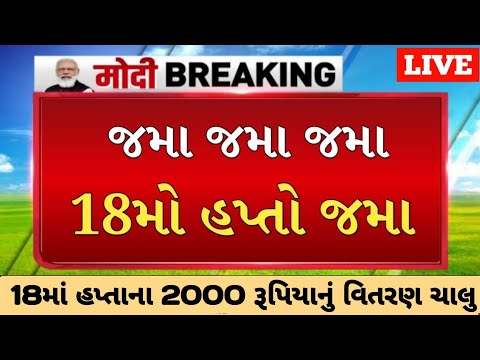 2000નો 18મો હપ્તો જમા | 2000 Kist | #pmkisan | Pm Kisan Status | Pm Kisan 2024