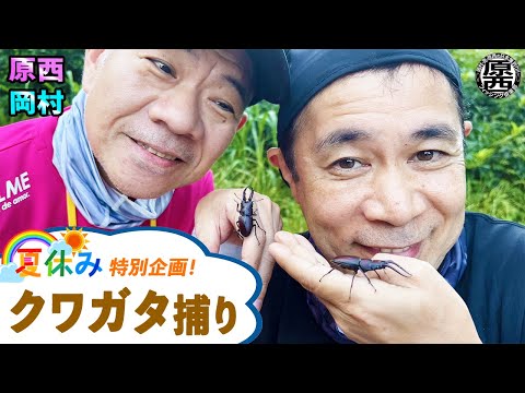 【夏休み特別企画】原西＆岡村のクワガタ捕り