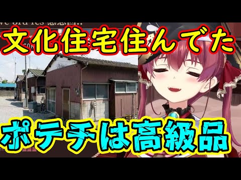 文化住宅で虫と戦ってた、子供の頃のマリン船長まとめ【ホロライブ切り抜き】【宝鐘マリン】