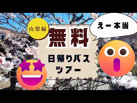 【無料日帰りバスツアー】60代/山梨編/次回もあったら参加したいな。美味しかったよ。綺麗だったよ。気持ち良かったよ。