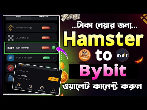 Hamster Kombat থেকে Bybit-এ পেমেন্ট নিন || Hamster Kombat Bybit Connect