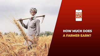 How Much Do Indian Farmers Actually Earn? | NewsMo