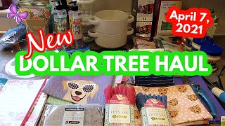 New DOLLAR TREE HAUL!  Fun Finds!  April 7, 2021  #LeighsHome