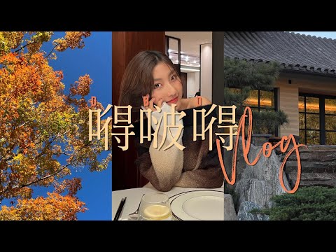 嘚吧嘚VLOG丨两周年纪念日丨聊聊婚礼幕后的故事丨Savislook