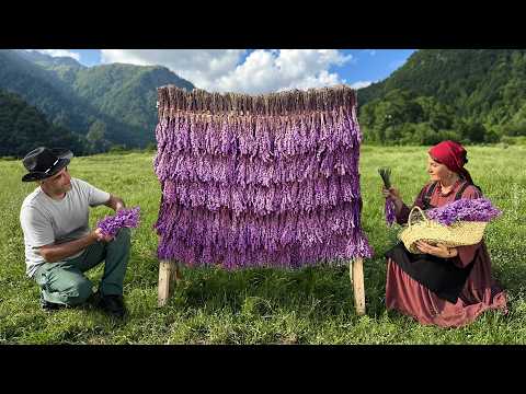 Harvesting Wild Mountain Lavender and Cooking Traditional Meats! A Cozy Life Away from Civilization