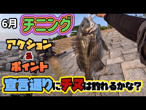 【チニング】あの場所で○○やって釣る宣言‼️→結果は？【ベイトフィネス】