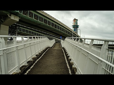 台北大縱走第八段(僅完成至景美河濱公園)