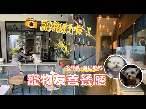 單身好去處 |《一個人去Dating》可以去邊到? | 將軍澳| 西環| 寵物餐廳 | 和毛孩的海邊約會 #beautyexchange   #BeSingle