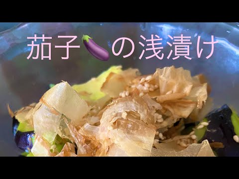 簡単で美味しい・夏野菜🍆の浅漬け#お料理動画 #浅漬け