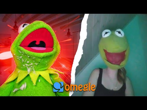 Kermit is a bad frog on Omegle