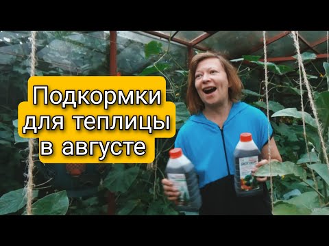 ПОДКОРМКИ ДЛЯ СМЕШАННОЙ ТЕПЛИЦЫ В АВГУСТЕ 2023 | Светлана Самойлова