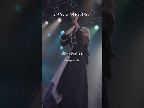 【LIVE Ver】LAST STARDUST - Aimer / Cover #Fate #SERRA #yfp #live