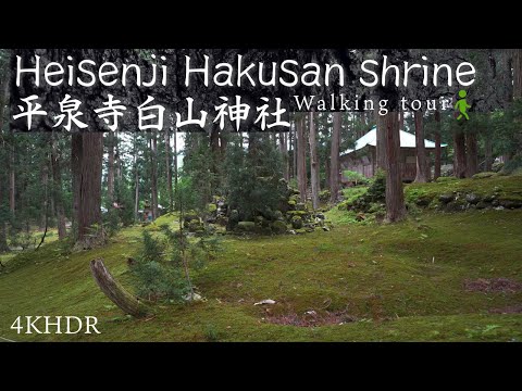 [4KHDR]Walking tour Heisenji Hakusan Shrine in Katsuyama City, Fukui[moss temple]福井県 平泉寺白山神社 散策 苔寺