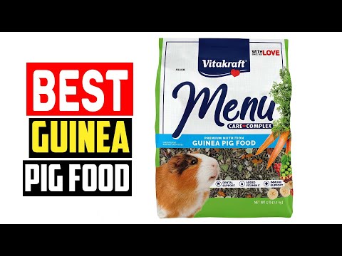 ✅Best Guinea Pig Food in 2023