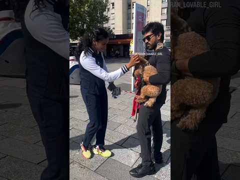 #Ramcharan chitchat with P V Sindhu😍👌 #shorts #ytshortsindia #ytshorts #youtubeshorts #viral