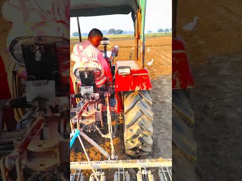 Khet #trendingshorts #farminglife #viralshort #youtubeshorts #nature #shorts