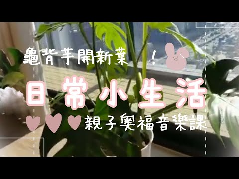 小生活#2/龜背芋開新葉了/KEYCOFFEE /親子奧福音樂/冬天溫暖的陽光/Lee's family