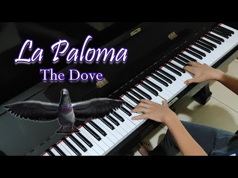 The Dove - La Paloma (Piano Cover by Hudson Lois)