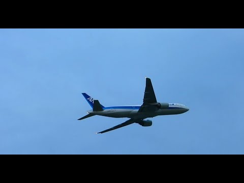 むすび丸！ディズニー・ファンタジア機！フラッシュライト！伊丹空港ライブ配信！ Plane Spotting Live!  Osaka International Airport 12/13/2024