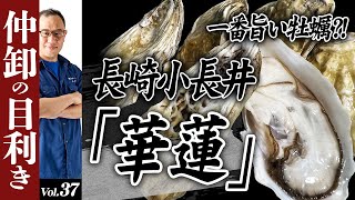 牡蠣の中でも一番美味しい?!豊洲市場仲卸がオススメする仕入れプロ向けの業務用食材