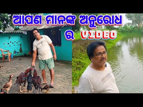 ଆପଣମାନଙ୍କ ଅନୁରୋଧ ର Video@basanta_sir_kitchengarden#youtube #chicks#kitchengarden