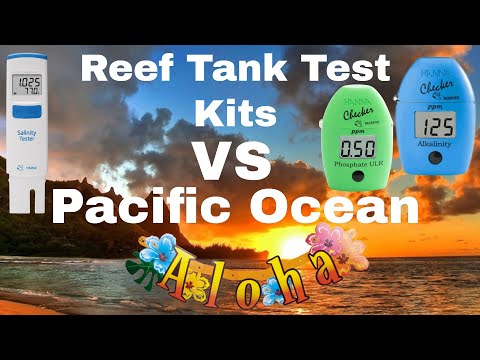 Testing The Pacific Ocean (Reef Aquarium Test Kits) Does Hawaii Saltwater Parameters Measure Up