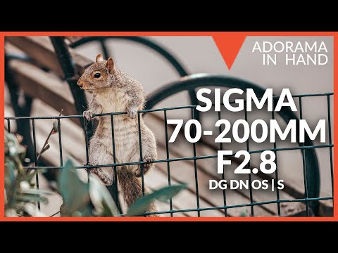 SIGMA 70-200mm F2.8 DG DN OS Lens | The Importance of Reliability