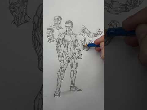 Free anatomy study you can print, study, and trace. Go to www.markliamsmith.com to grab one.