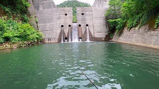 【渓流釣り】地元の人しか知らない山奥の砂防で・・・