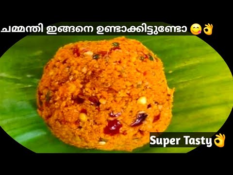 Coconut Chammanthi | ഈ തേങ്ങാ ചമ്മന്തി ഉണ്ടെങ്കിൽ മനസു നിറഞ്ഞ് ചോറ് ഉണ്ണാൻ പറ്റും|Side Dish for Rice