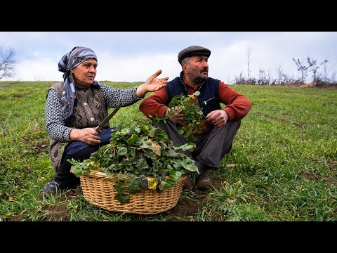 Harvesting Edible Winter Herbs for a Delicious Pie