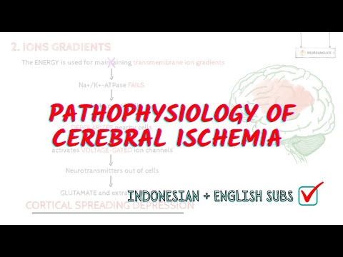 Pathophysiology of cerebral ischemia in detail | Neuroaholic