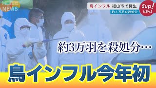 【11羽から「H5亜型」】福山市で鳥インフルエンザの発生確認