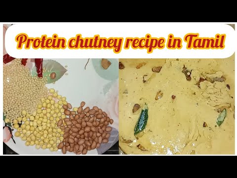 protein chutney  recipe in tamil | புரோட்டின் சட்னி  @sutharsanalifestyle308