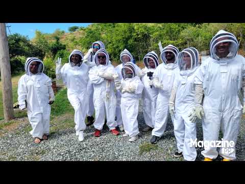 Apiturismo PR compañía puertorriqueña dedicada a la miel de abeja de alta calidad.