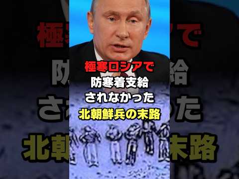 極寒ロシアで防寒着支給されなかった北朝鮮兵の末路#ロシア #ウクライナ #北朝鮮 #ショート #shorts #ゆっくり解説