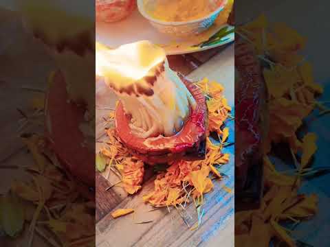 కార్తీక పౌర్ణమి #tulasi #pooja #trending #devotional #shortvideos