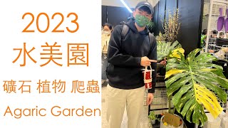 2023 水美園 觀葉植物市集 / 塊根 鹿角蕨 蔓綠絨 火鶴花燭 多肉 空氣鳳梨 積水鳳梨 礦石 爬蟲 一次滿足 in Taipei